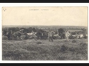 20 - la moisson.jpg
